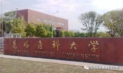 昆明医科大学,云南经济管理学院