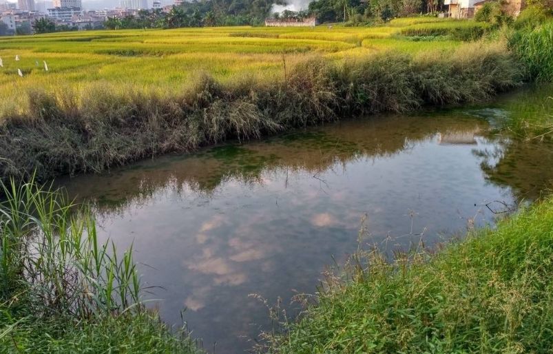 家乡坑塘里掘出燕王扫北时的人骨小池塘还有多少传说豫记