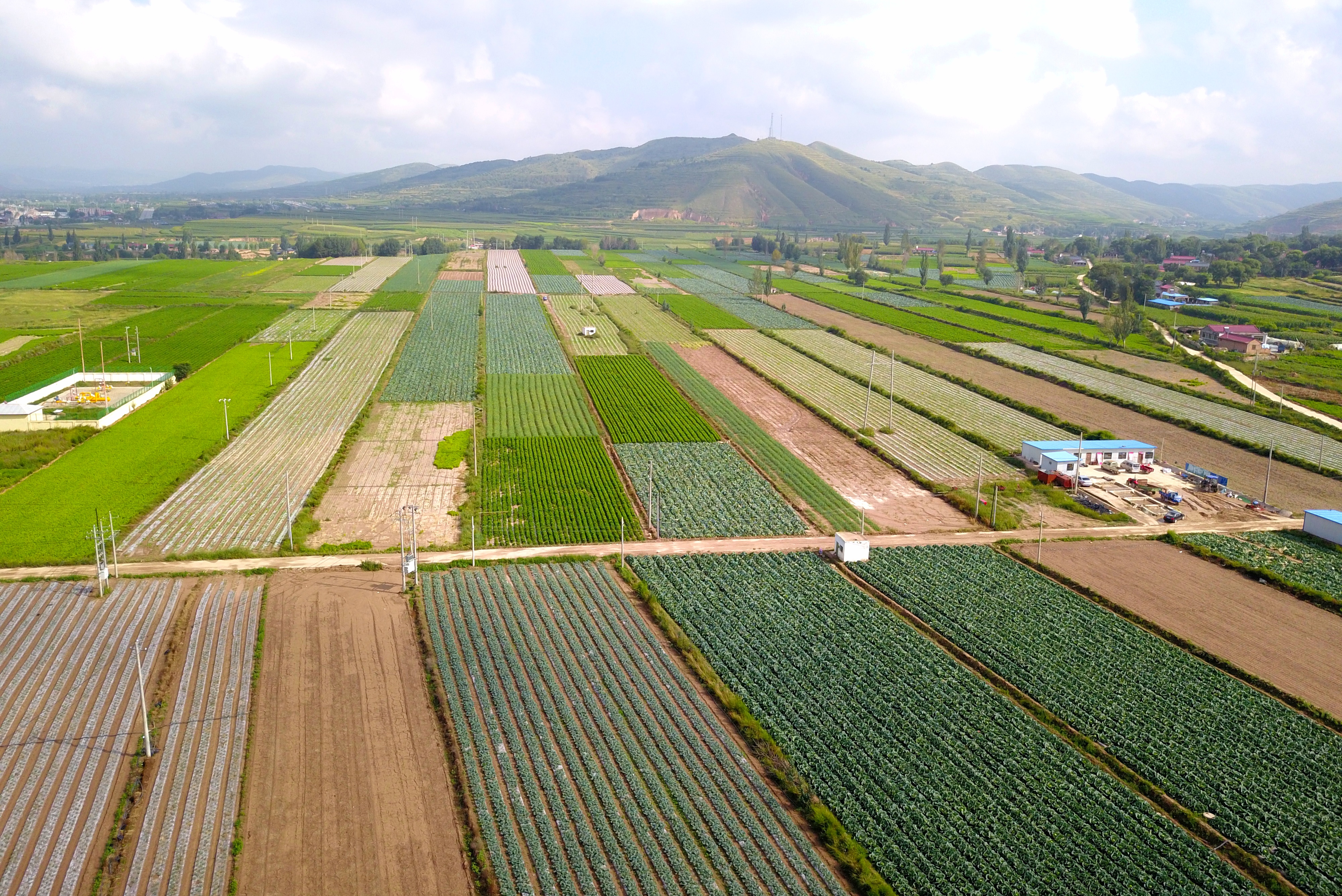 【2018网络媒体宁夏行】西吉县:发展订单蔬菜种植助力脱贫