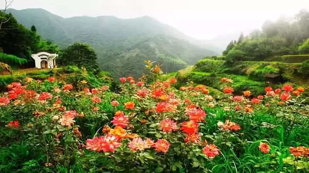 【江西:南昌,仙境三清山,婺源篁岭,瓷都景德镇四天纯玩团