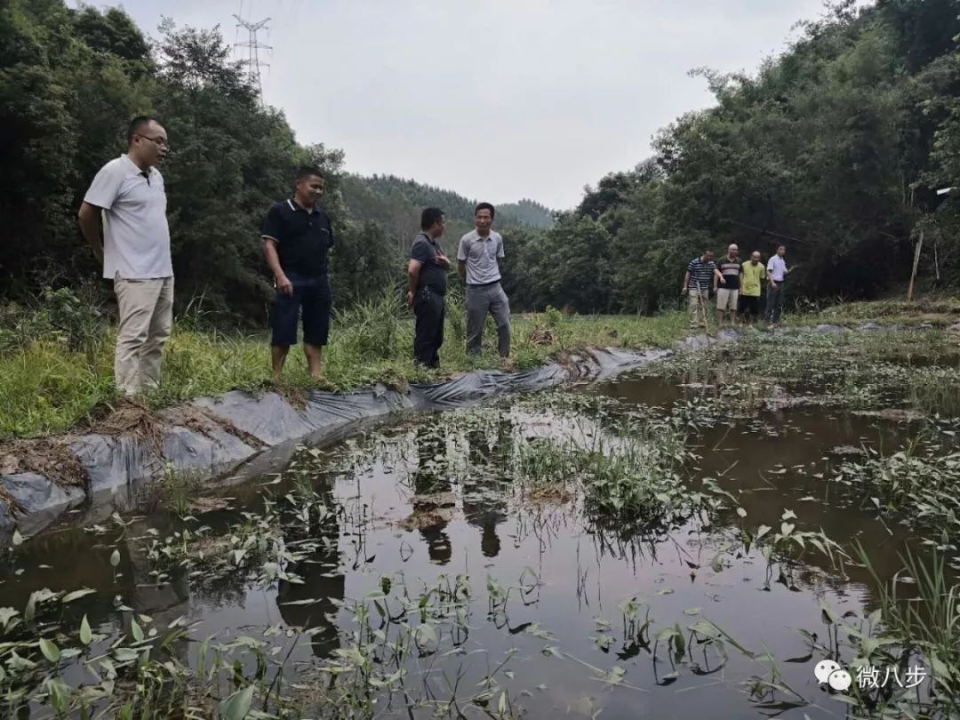 【八步多看点】广西城乡规划设计院到南乡镇开展规划设计下乡服务活动工作 8668