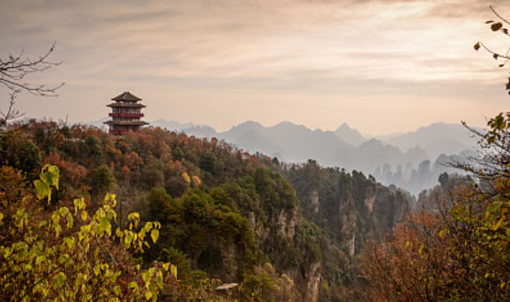 香芷溪峰高天远,涧深水清,斜阳古道,鸟叫蝉鸣,似世外桃源