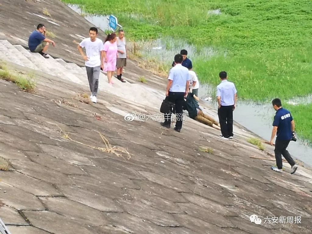 云露桥附近惊现女尸!官方已回复