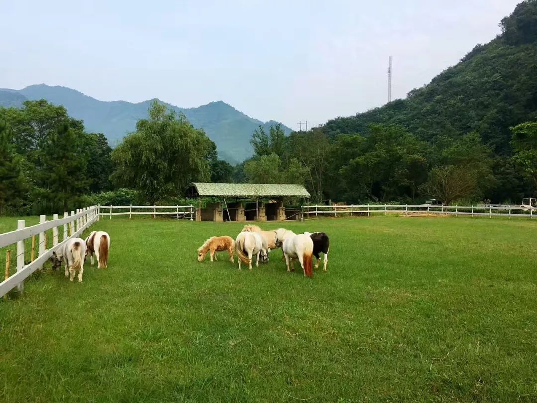 仁化县有多少人口_仁化县地图(3)