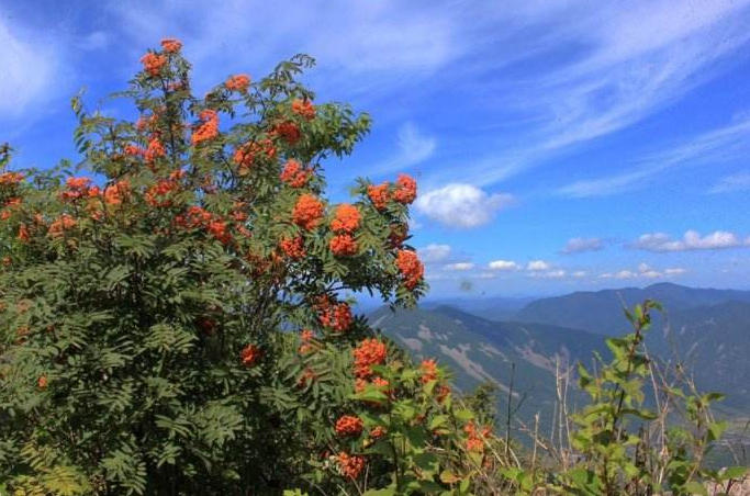 花脖山