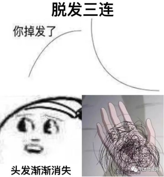 请问您今天要来点秃子吗?