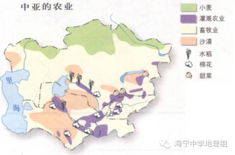 畜牧业广布,灌溉农业农产品品质好中亚自然环境与农业(4)