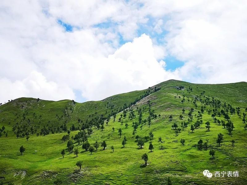 【刘德贤摄影】风景宜人的德令哈柏树山(手机摄影)