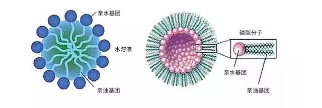 最重要的成分是表面活性剂