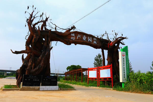 陕州区大营村人口_陕州区大营陈玉顺