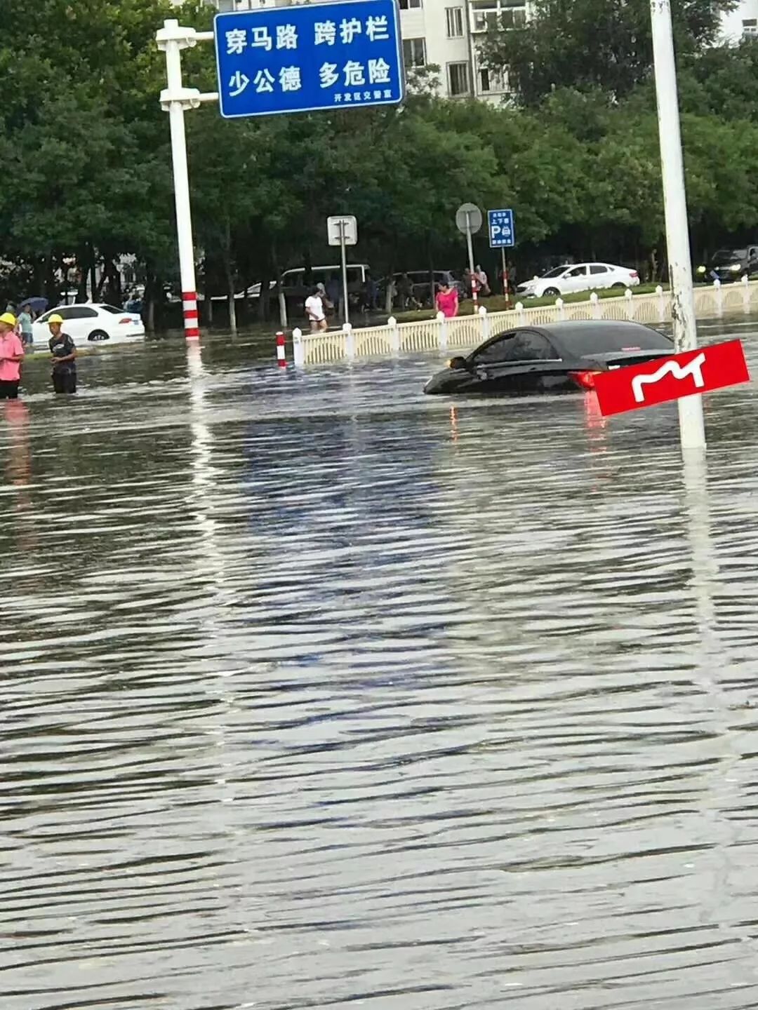 暴雨发威!视频实拍烟台这些地方下成了河,车都飘起来了