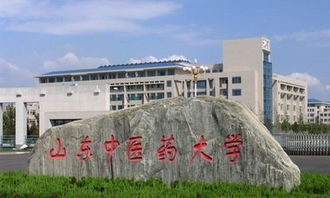 泰山医学院是一所山东省的省属大学,学校的前身就是创建于19世纪90