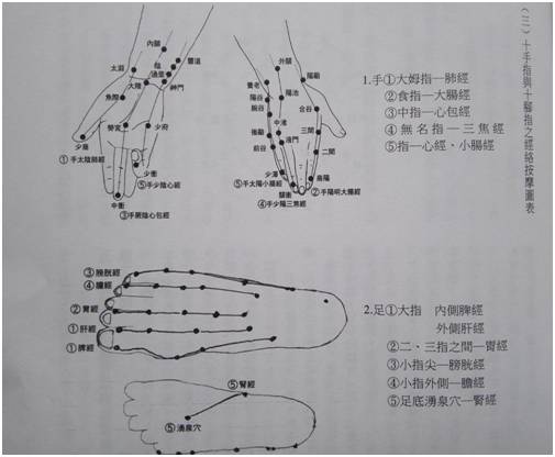 知医┃首愚法师:中医诊疗与佛法修证之论述_经络