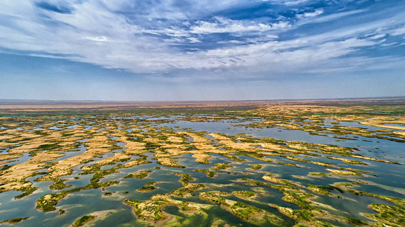 引水治沙:库布其沙漠水生态治理的成功模式