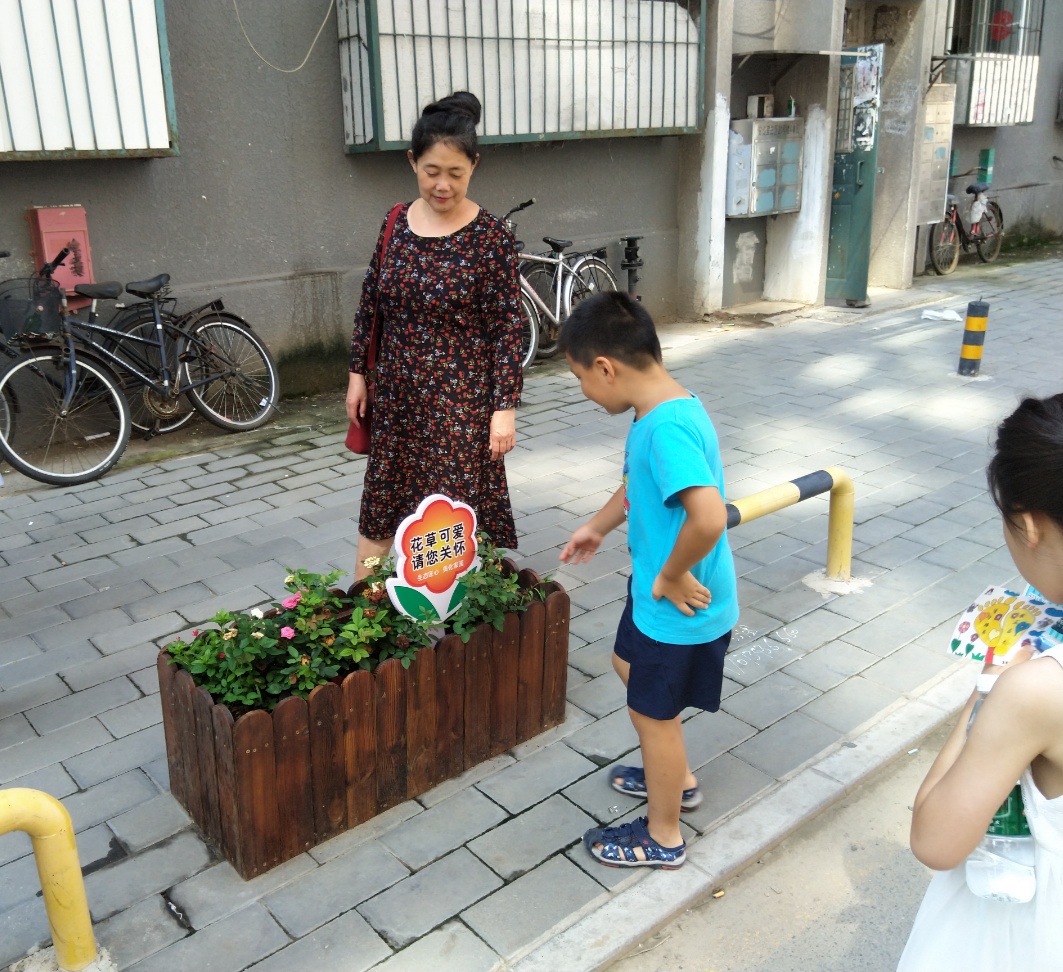 社区主半岛体育人 非你莫属(图3)