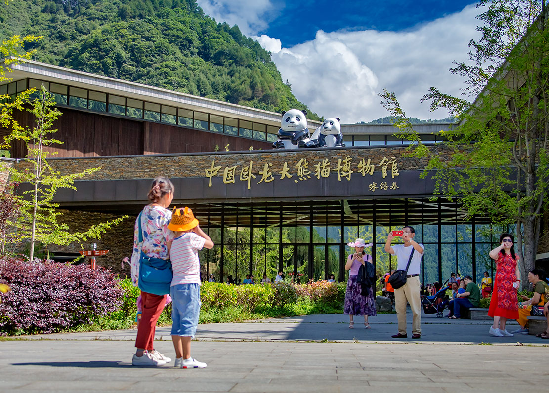 书法家汪连军携手摄影师走进神树坪熊猫基地_卧龙