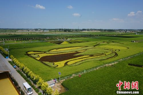 广饶县稻庄镇城坞村人口_广饶县稻庄镇纪家疃村