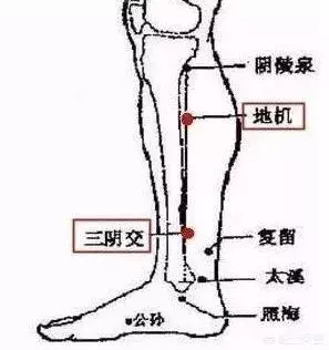 何弃疗!?水肿型肥胖的6个方法了解一下