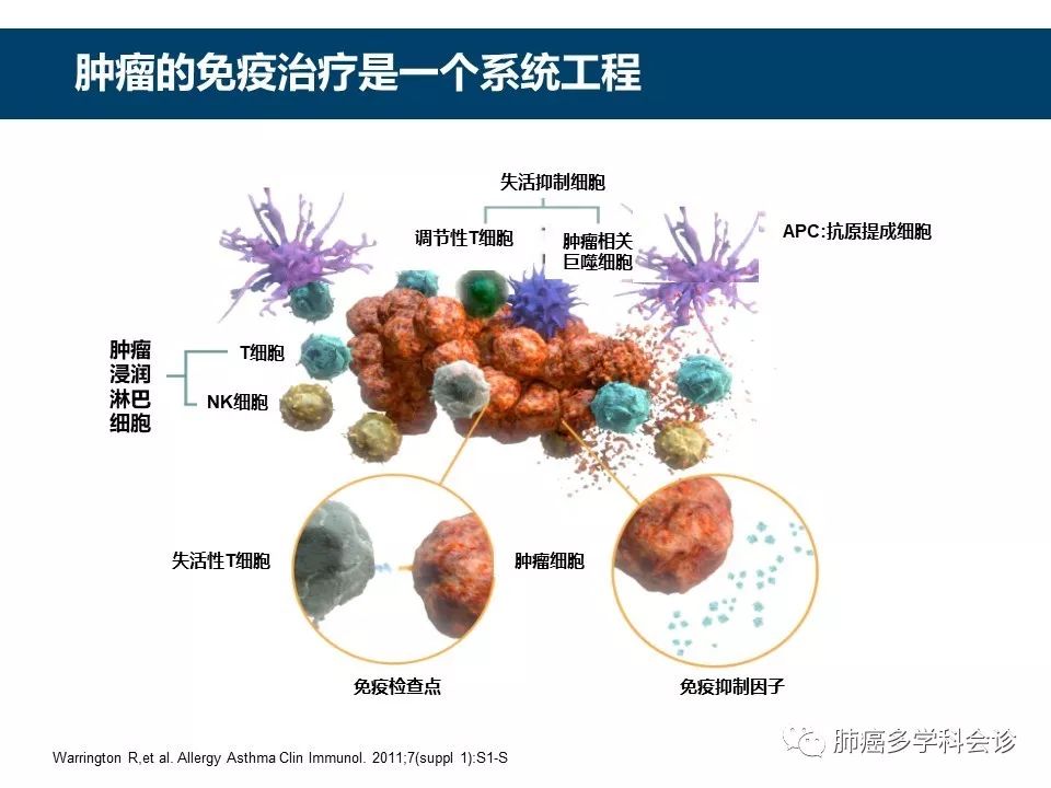 肿瘤免疫治疗的历史和发展