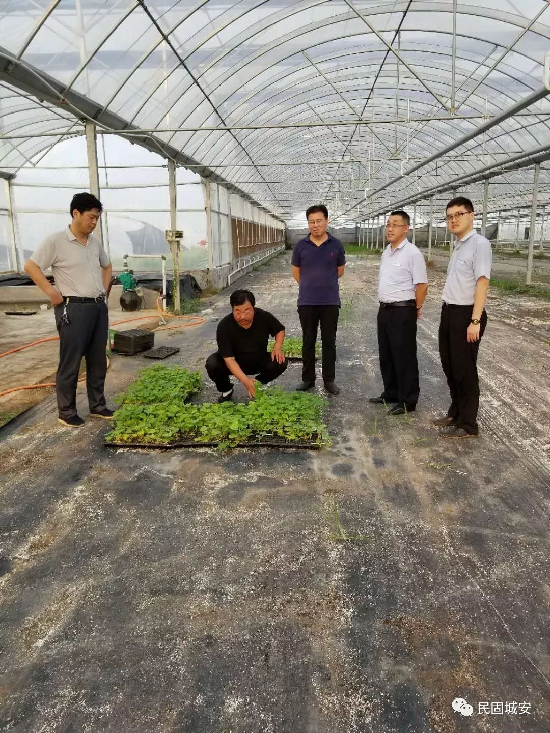 河北隆尧：创建绿色工厂 助推高质量发展_凤凰网视频_凤凰网