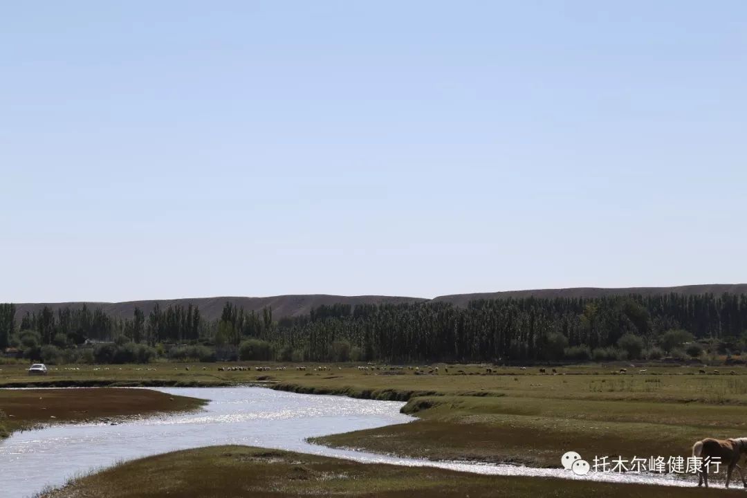 农一师四团一九八三届高中毕业生三十五周年庆典总结讲话