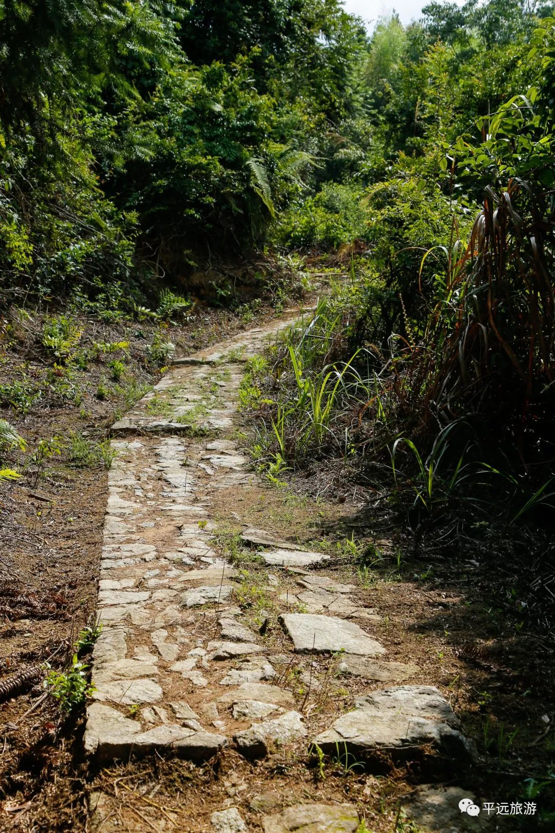 南粤古驿道踏寻八尺古道古迹