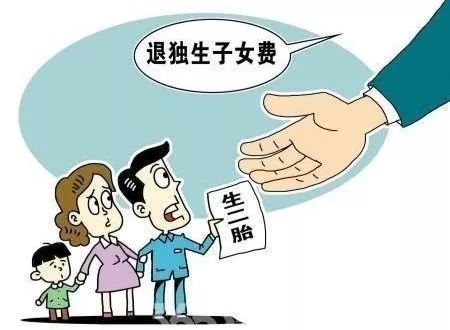 2013年 中国实施"单独二孩"政策,即一方是独生子女的夫妇可生育两个