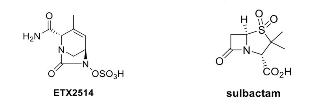 etx2514和舒巴坦的分子结构式(图片来源:entasis官网)