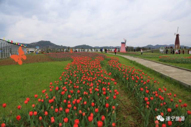 第二天:遂宁—龙婷生态园—七彩明珠—出发地(体验乡村旅游)