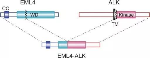 eml内衣_内衣美女(2)