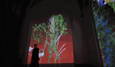 交互装置在法国数字艺术家手下盛开的虚拟花园