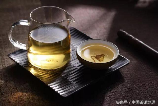 普洱茶十大品牌之巅：探寻品质与创新的完美融合