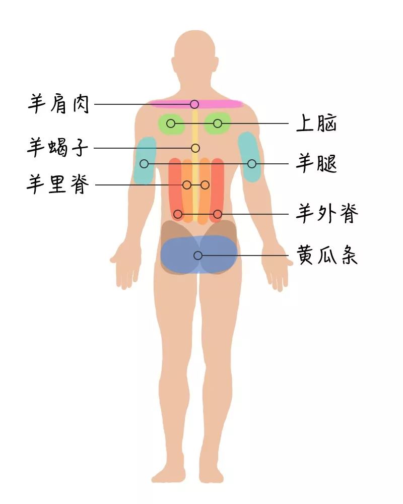 羊身上哪个部位最好吃,你知道吗?