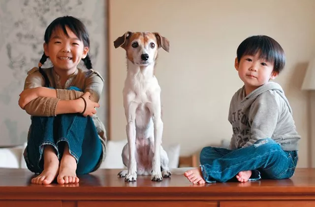 生二胎的利与弊，看完之后心里就有谱了