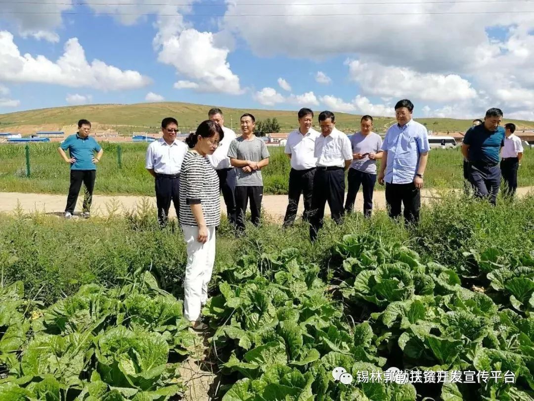 自治区政协党组成员,副主席常军政一行深入正镶白旗调研指导工作