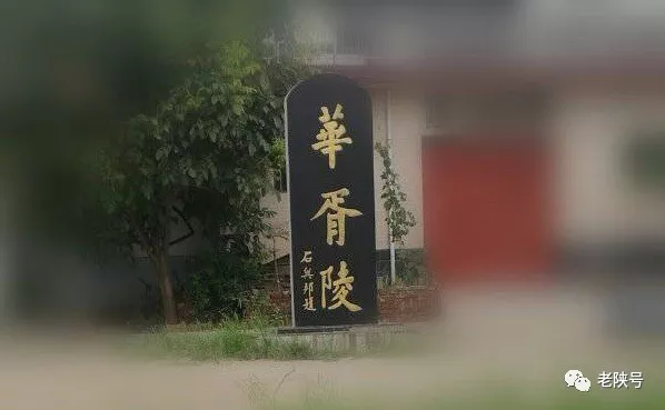 姚骏骊拜谒华胥陵