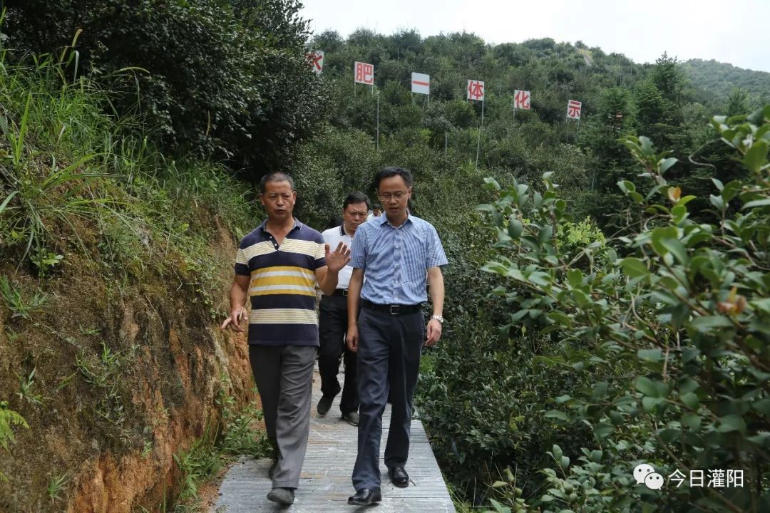 【头条】县委书记周春涌深入到黄关镇,西山瑶族乡调研