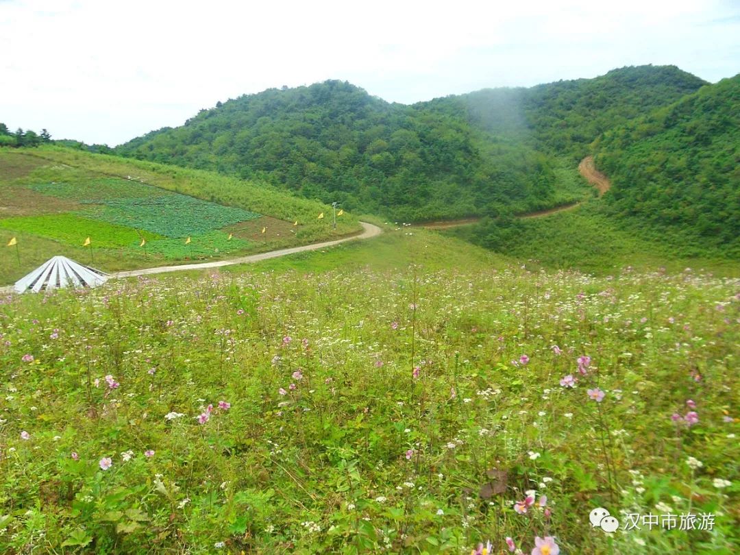 夕阳西下,才恋恋不舍的 踏上归家的路途 地址:汉中市城固县二里镇