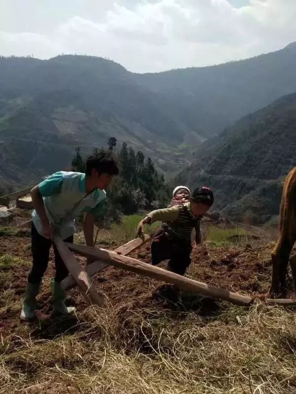 带山区孩子回家,让他们学美术,专访树华顺德校区