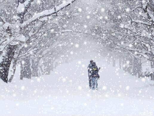 下雪婚纱照_下雪卡通图片(2)