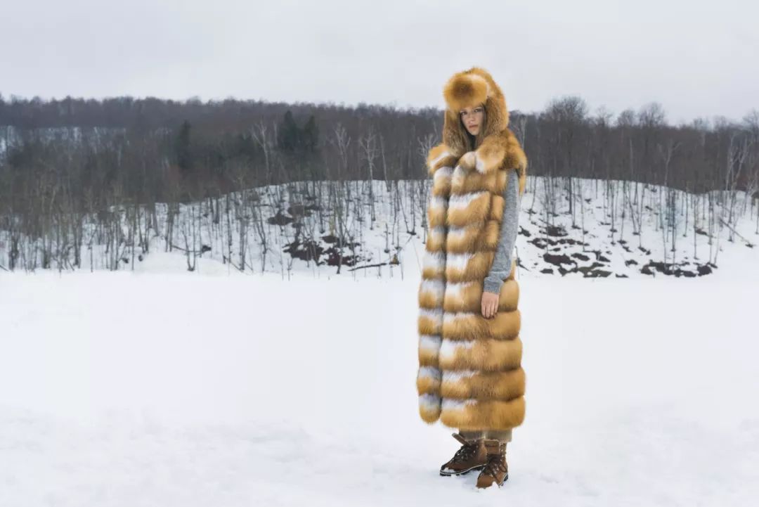 毛皮文化课·红狐篇| 兼具时尚特性和市场潜力的毛皮品种- 雪花新闻