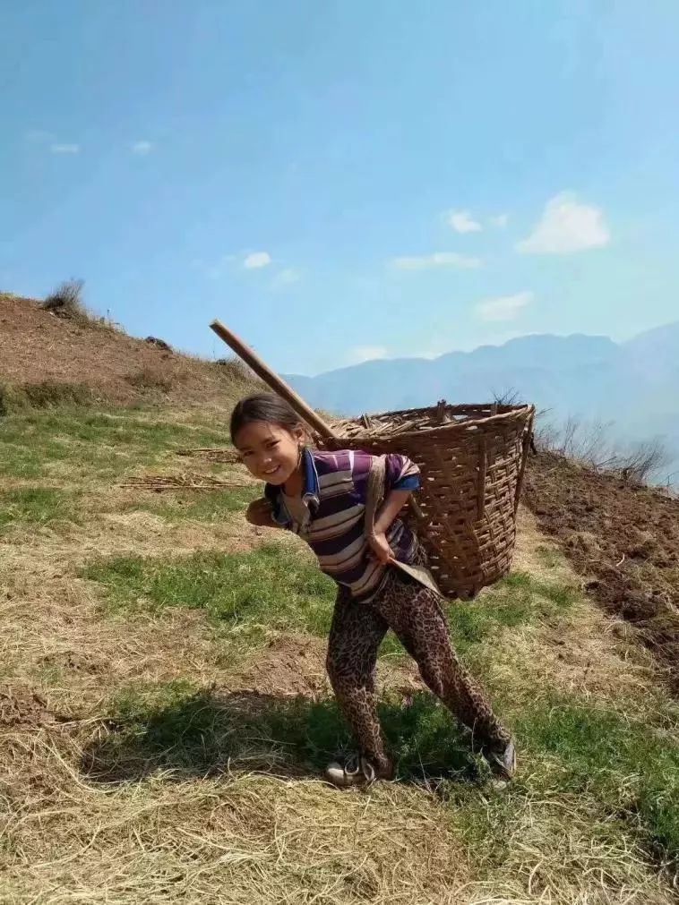 山区小女孩做农活