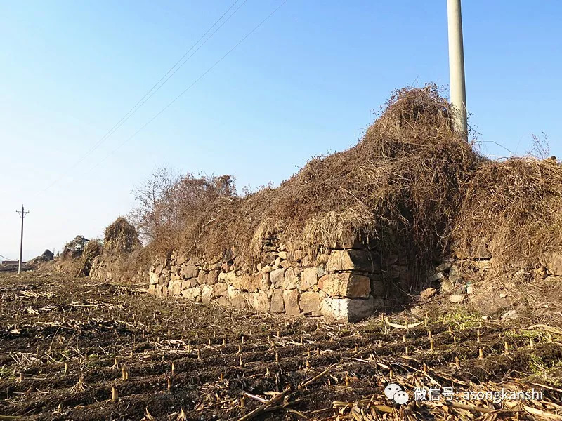 由沈阳至清河城村有两条线路,或从沈阳经抚顺抵达,或走本溪线,行程均