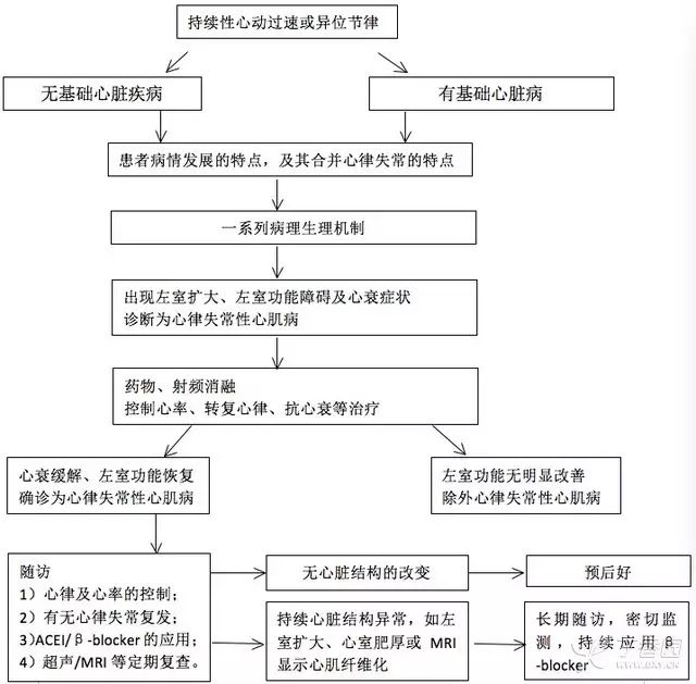 一图总结:心律失常性心肌病的处理流程