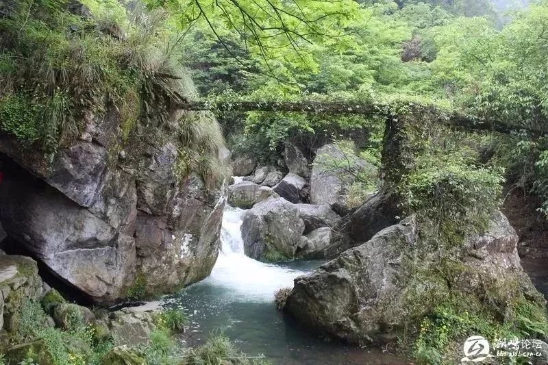 所有人 从今天开始到本月底,来仙寓山旅游送富硒特产