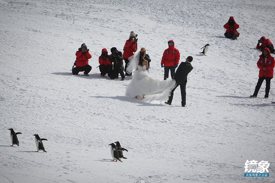 南极拍婚纱照_宝石之国南极石图片
