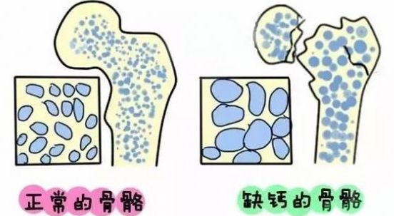 2020年东阳出生人口_我在东阳过大年手抄报