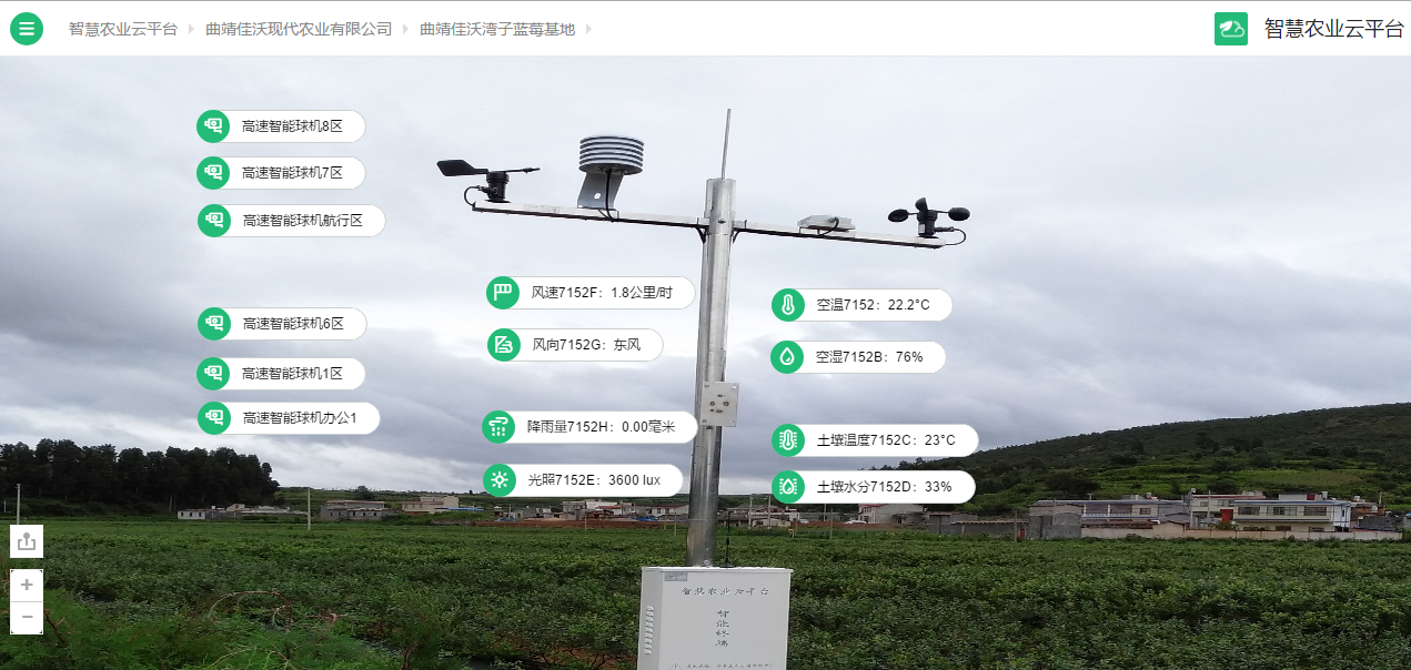 (曲靖佳沃越州蓝莓基地-慧云智能监控数据)