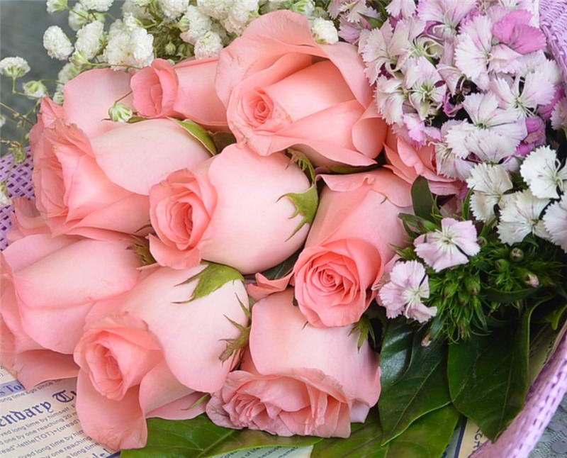 粉玫瑰的花语:端庄,优雅,文静,感激,温暖的心.