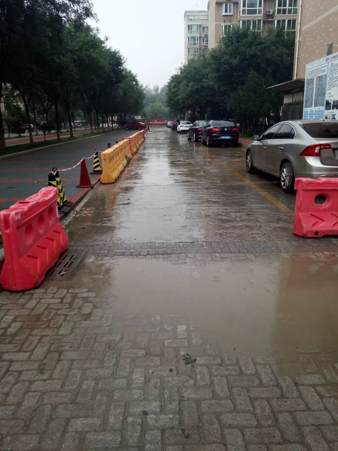 【厉害】小区地面"会呼吸",雨后行走不湿鞋,居民怒赞!